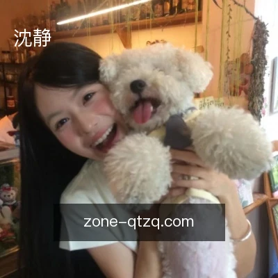 沈静